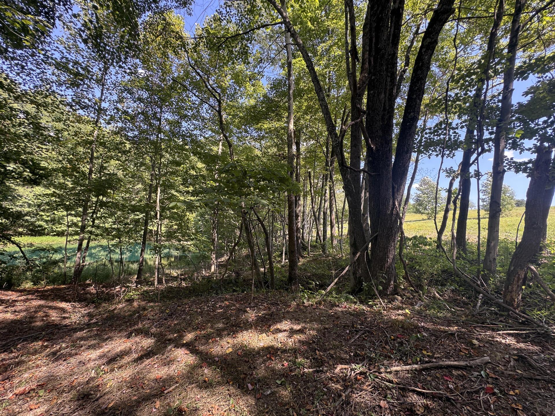973 Golf Course Road Waverly, OH 45690 - Photo 55 of 67 CT-56