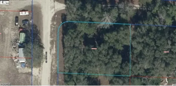 $10,250 | 6721-010-00 Northeast 139th Avenue, Williston, FL 32696