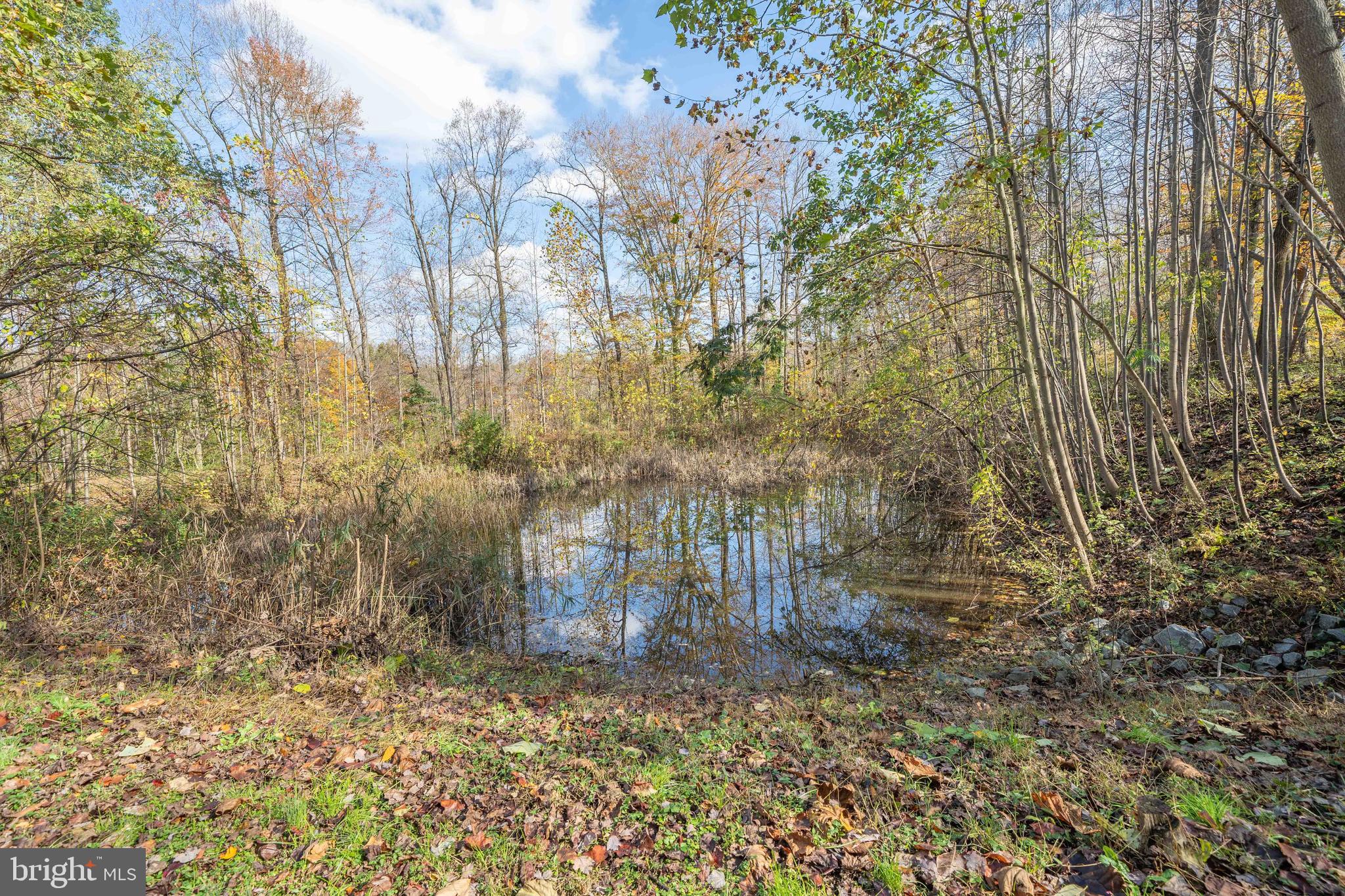 15 Warner Woods Road Elkton, MD 21921 - Photo 9 of 58 Community retention pond adjacent to property