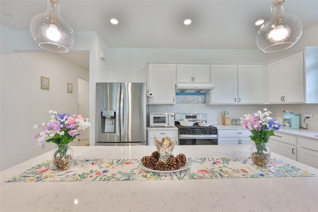 2948 Frst Mdw Avenue Valrico, FL 33594 - Photo 2 of 16 a kitchen with granite countertop cabinets and granite counter tops