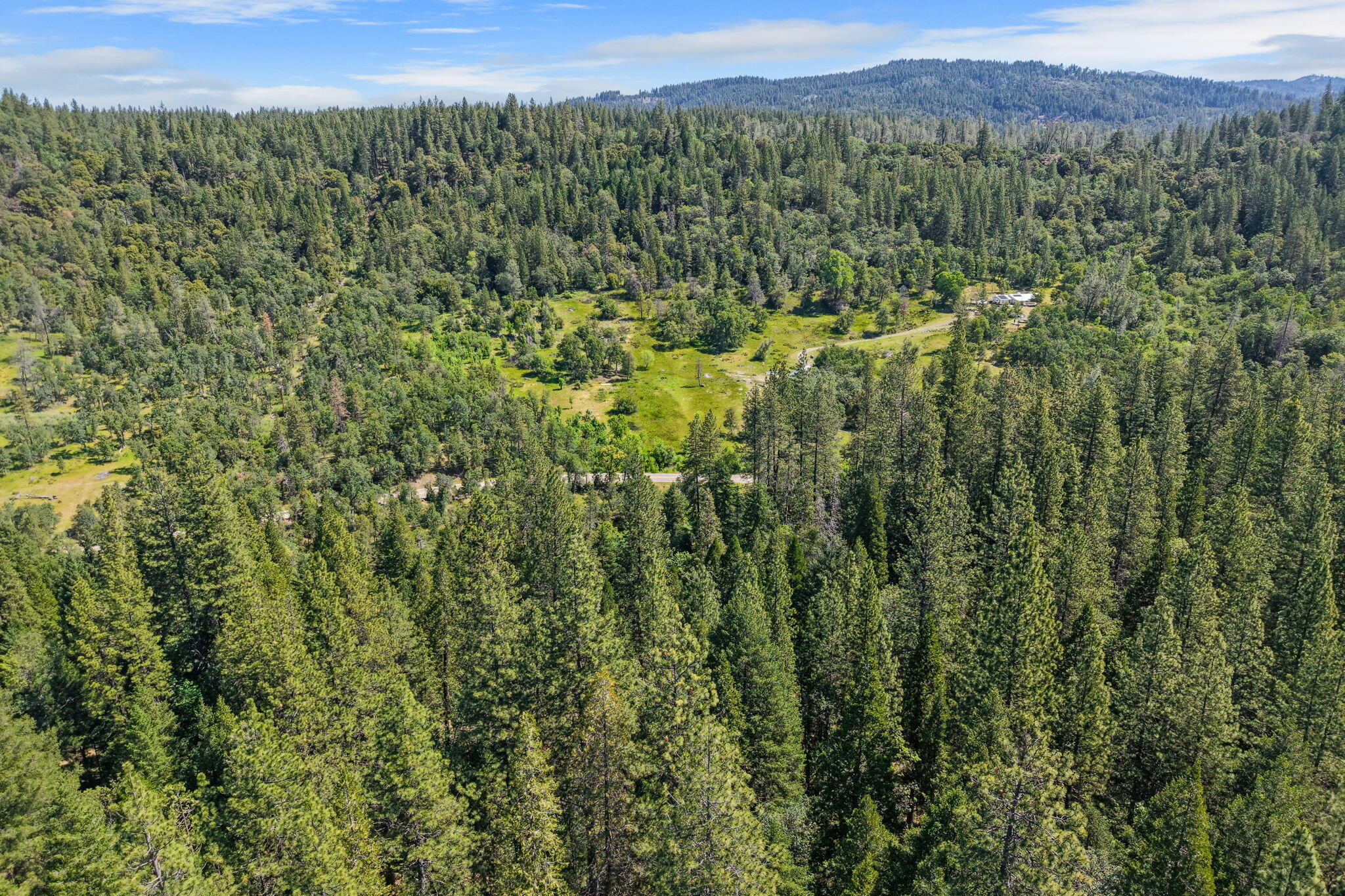 30303 Oak Run To Fern Road Whitmore, CA 96096 - Photo 71 of 75 a view of a green field with lots of bushes