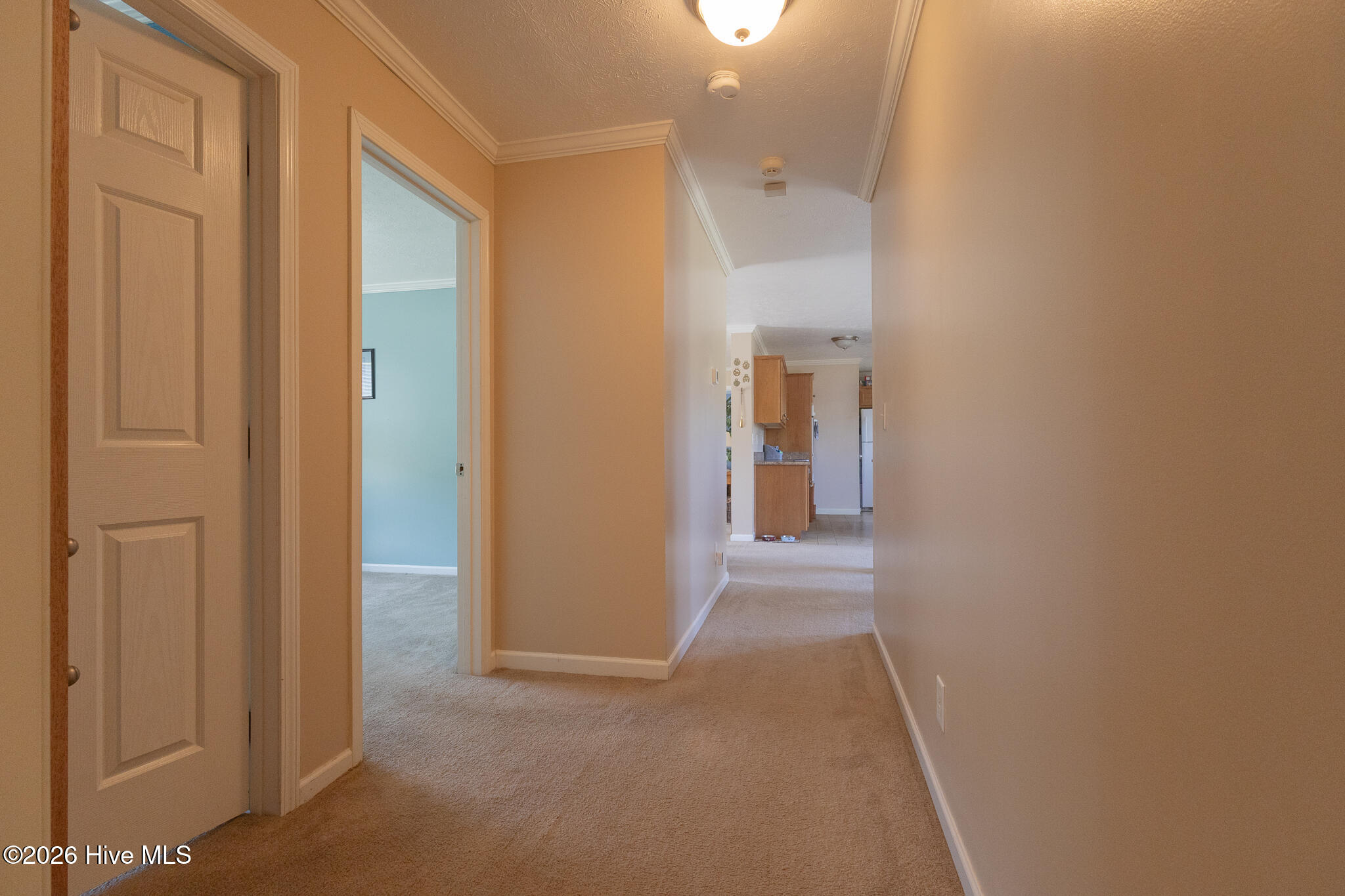 309 Smith Road Gates, NC 27937 - Photo 25 of 44 309SmithRd-36