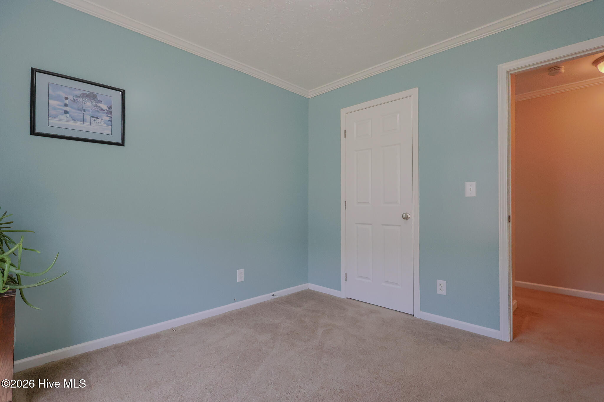 309 Smith Road Gates, NC 27937 - Photo 29 of 44 309SmithRd-39