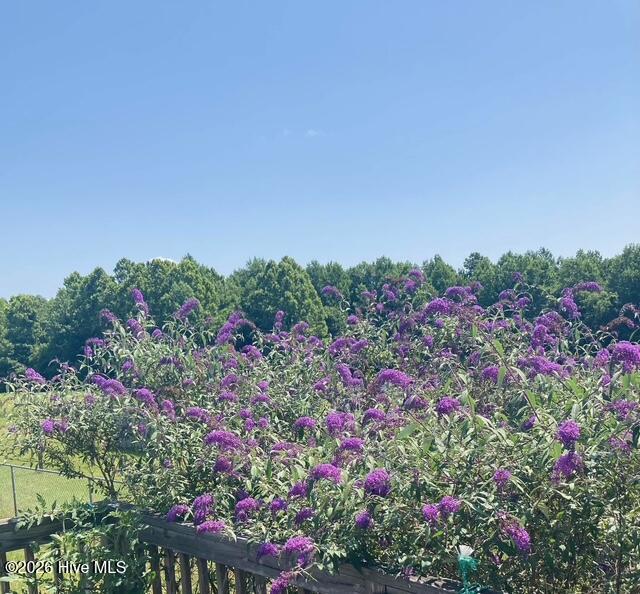 309 Smith Road Gates, NC 27937 - Photo 37 of 44 IMG_0743