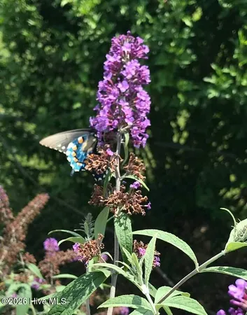 $325,000 | 309 Smith Road, Gates, NC 27937