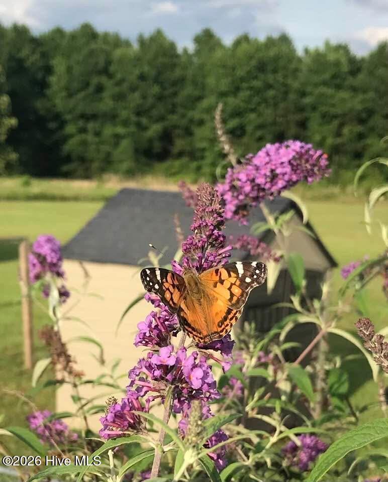 309 Smith Road Gates, NC 27937 - Photo 39 of 44 IMG_0648