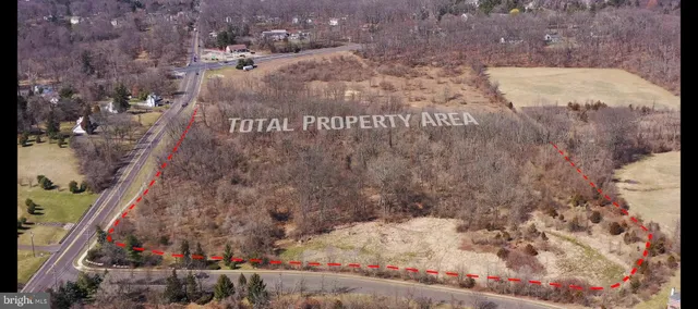 a view of a dry yard with trees