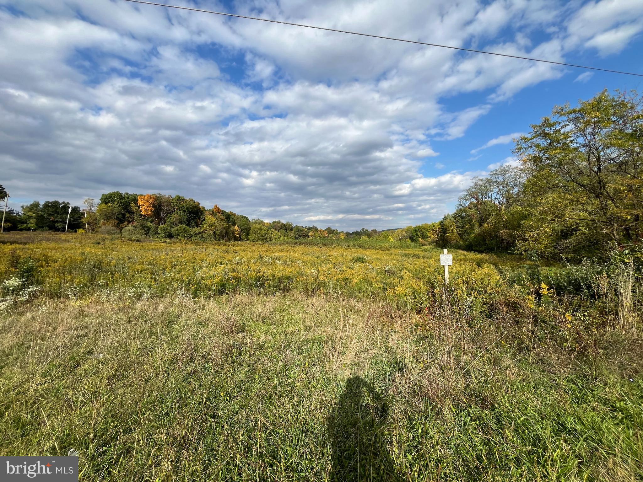 0 Old York Road Furlong, PA 18925 - Photo 4 of 8 a view of yard with swimming pool and trees in the background