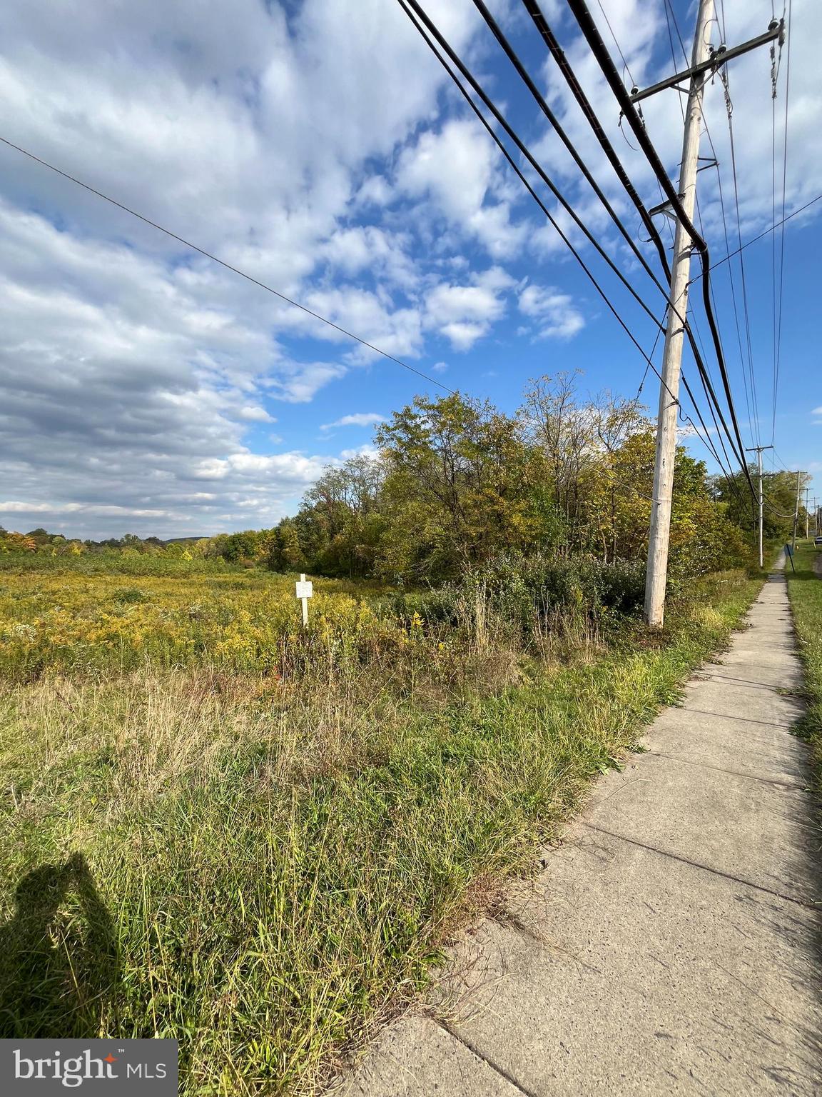 0 Old York Road Furlong, PA 18925 - Photo 7 of 8 a view of a yard