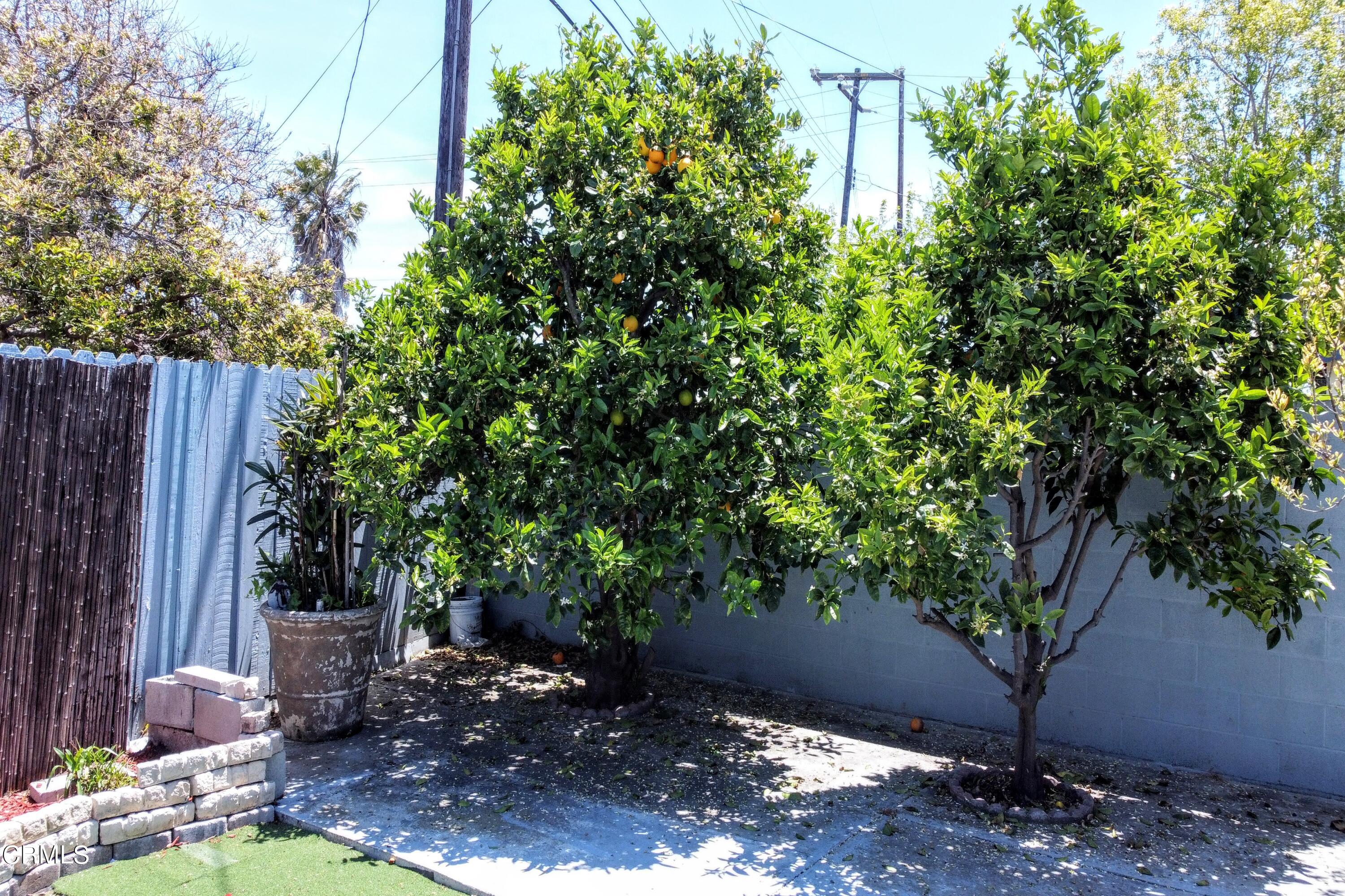 1830 Claremont Drive Oxnard, CA 93035 - Photo 28 of 36 a view of a backyard with plants and large trees