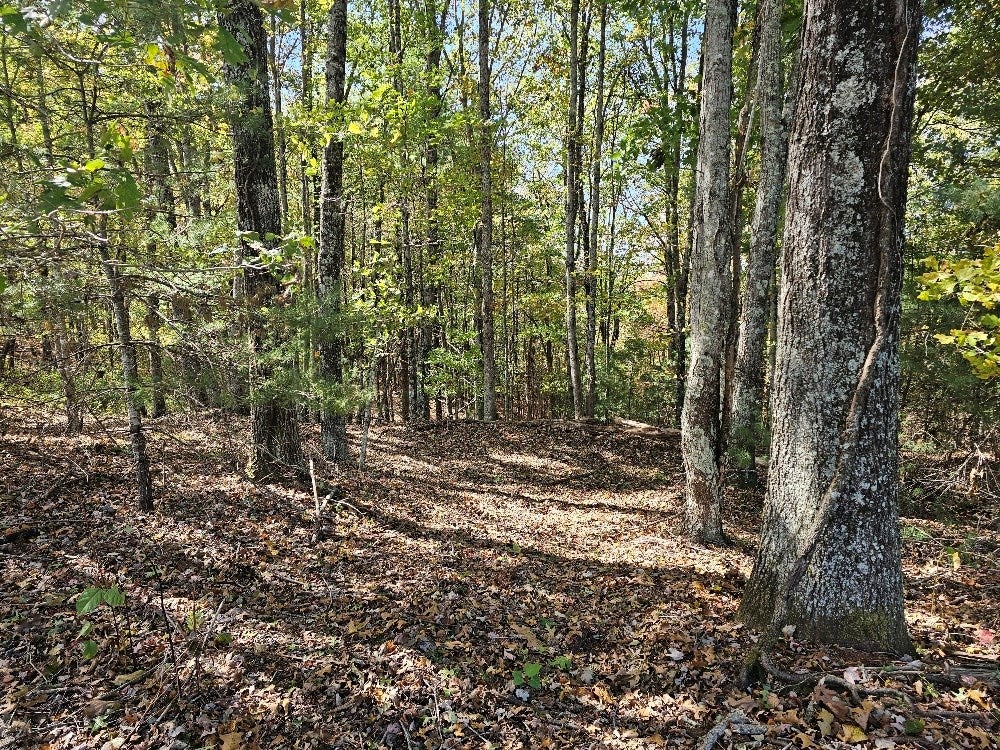 Tbd Iron Ridge Road, Unit 33C Galax, VA 24333 - Photo 12 of 14 Gallery Image 12