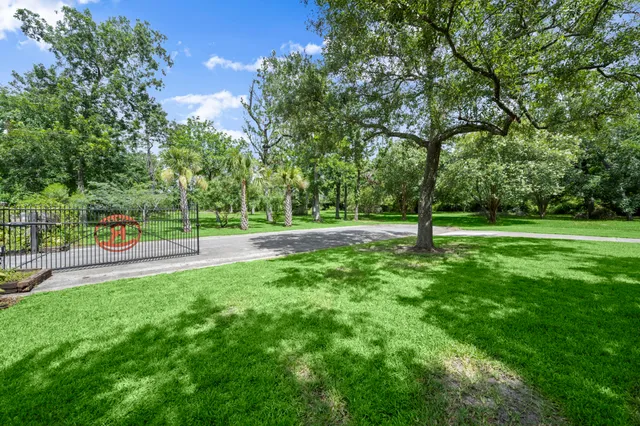 a view of a park with large trees