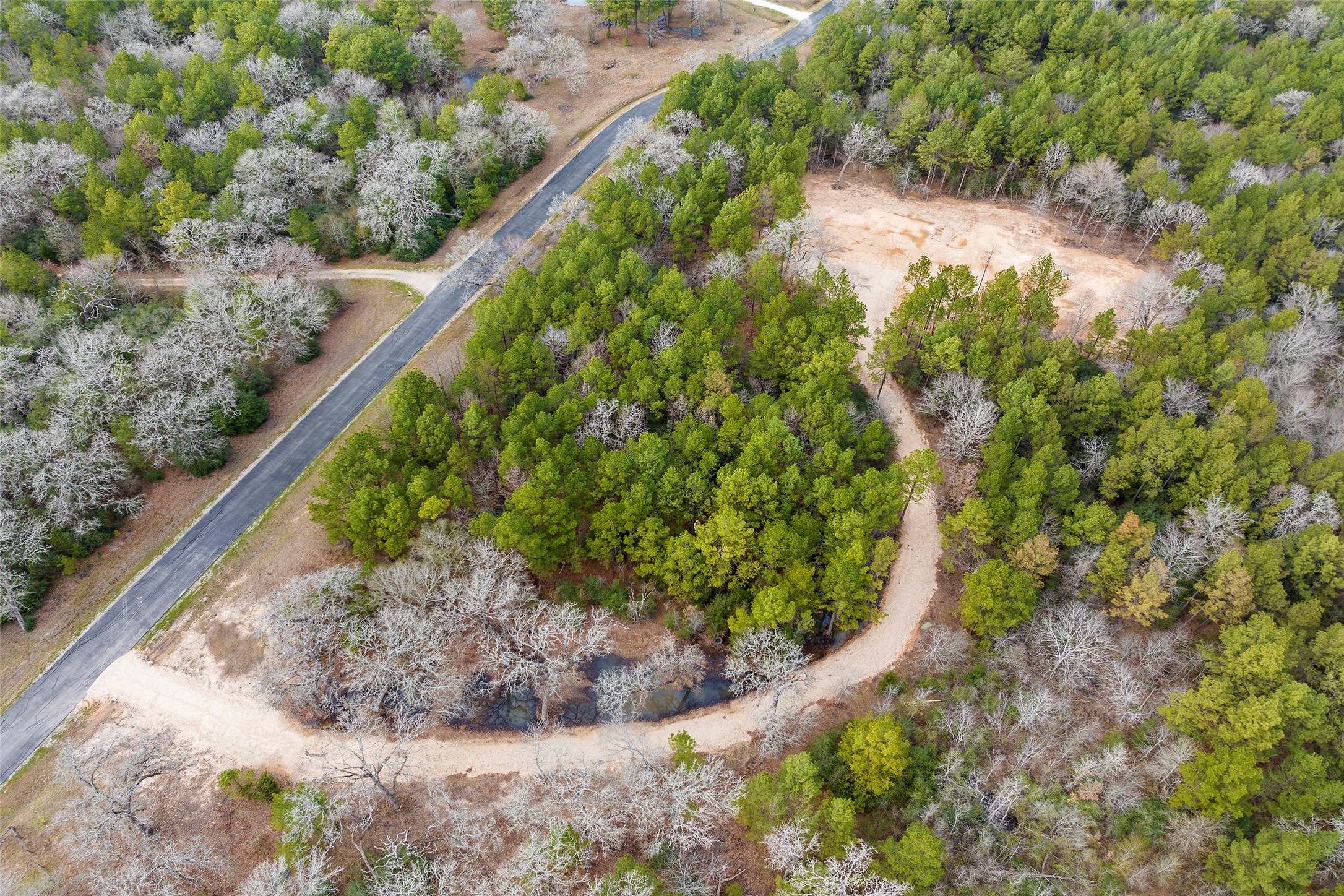 26350 Hunters Ridge Road Hockley, TX 77447 - Photo 11 of 13 a view of a garden with a pathway