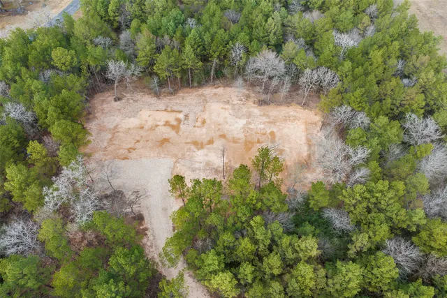 a view of a forest with trees in the background