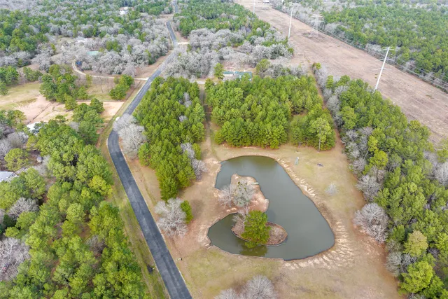 a view of a garden with a fountain