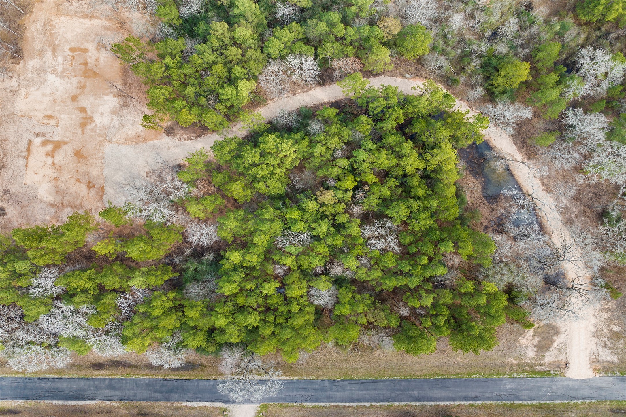 26350 Hunters Ridge Road Hockley, TX 77447 - Photo 7 of 13 a backyard of a house with lots of green space