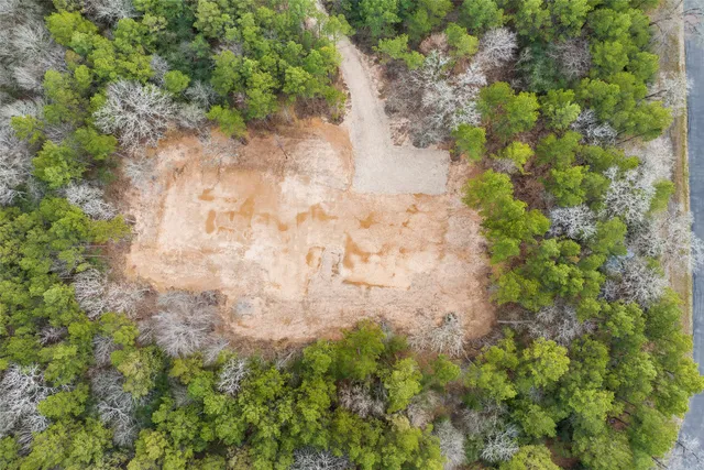 a backyard of a building with large trees
