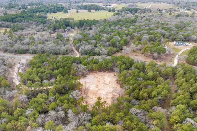 a view of a forest with a houses