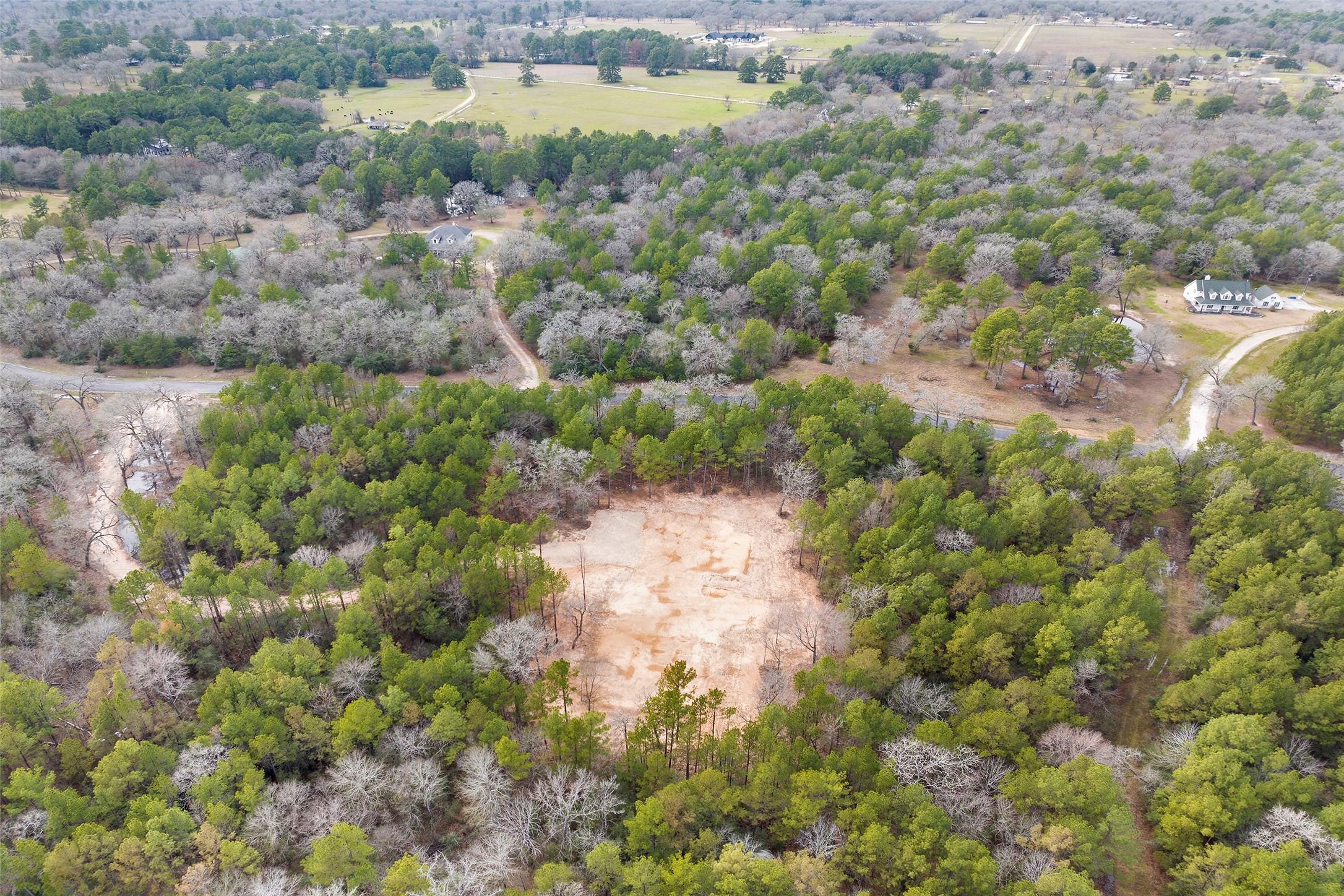 26350 Hunters Ridge Road Hockley, TX 77447 - Photo 10 of 13 a view of a forest with a houses