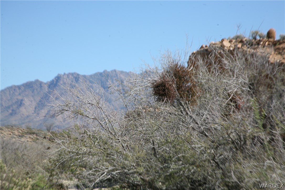 208-24-134 Cameron Road Yucca, AZ 86438 - Photo 84 of 86