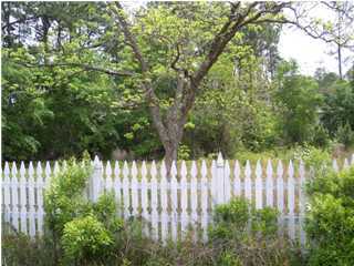 393 Santa Rosa Beach Santa Rosa Beach, FL 32459 - Photo 1 of 1 a view of a yard with plants and wooden fence