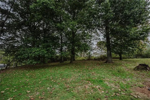 a view of a lush green space