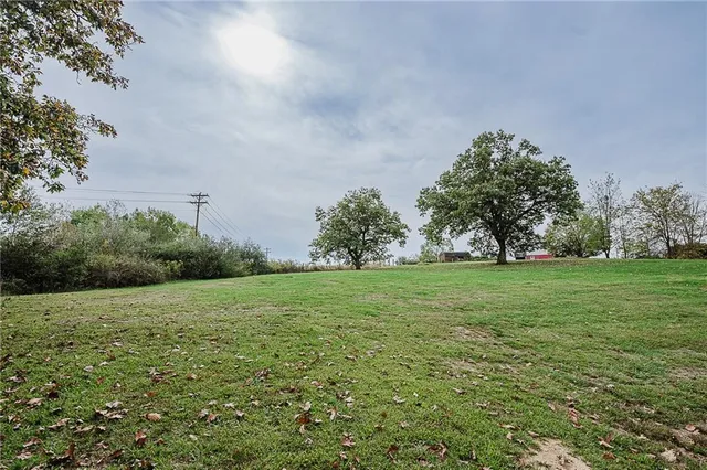 a view of a field with trees