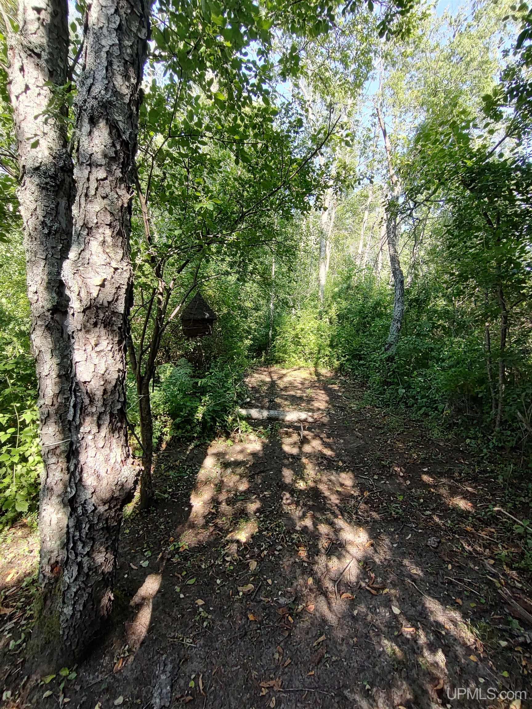 387 Rd Mcmillan Mi 49853 Road Newberry, MI 49868 - Photo 46 of 78