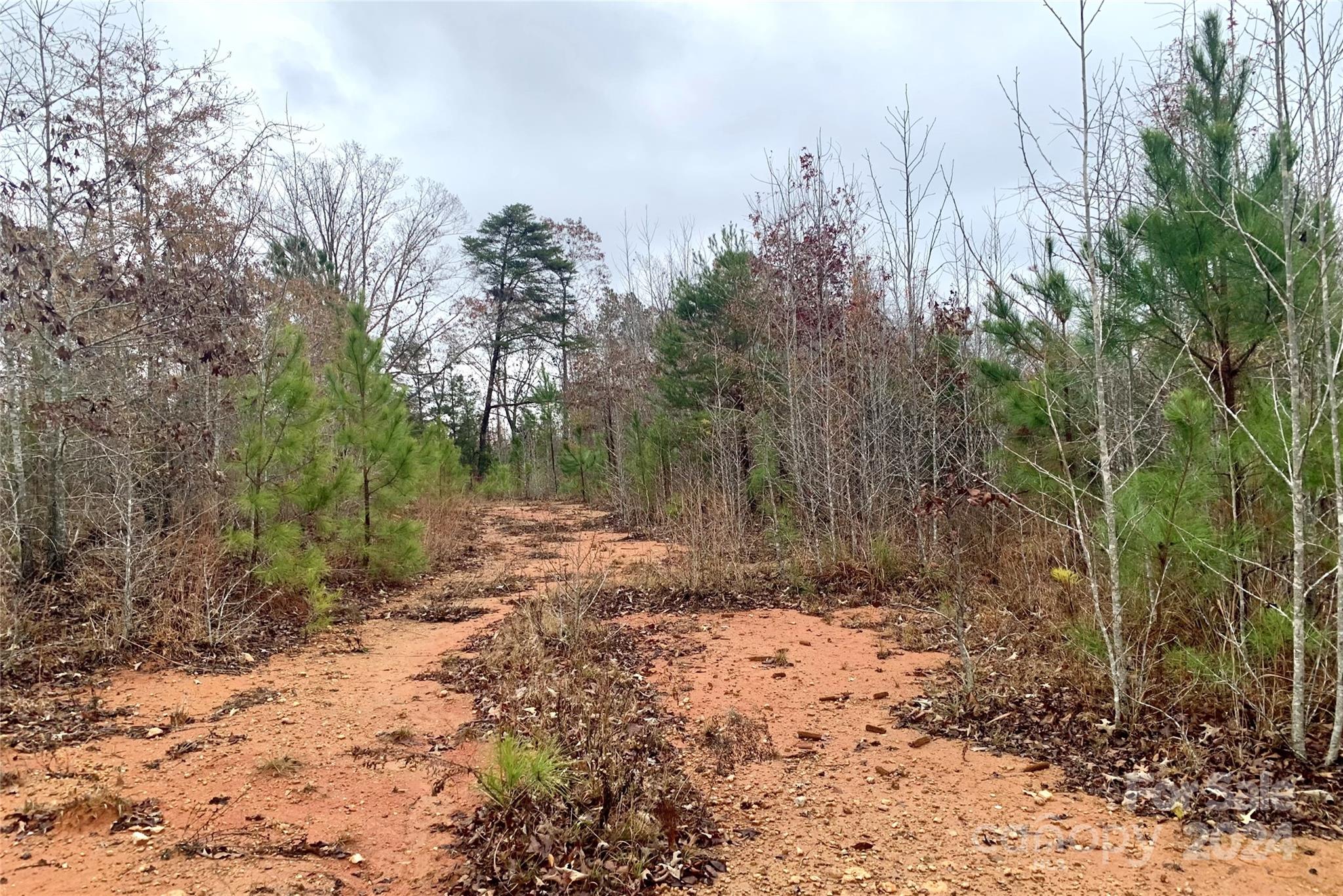 118-ac 118-ac Firetower Road Chester, SC 29706 - Photo 11 of 19 a view of a yard with trees