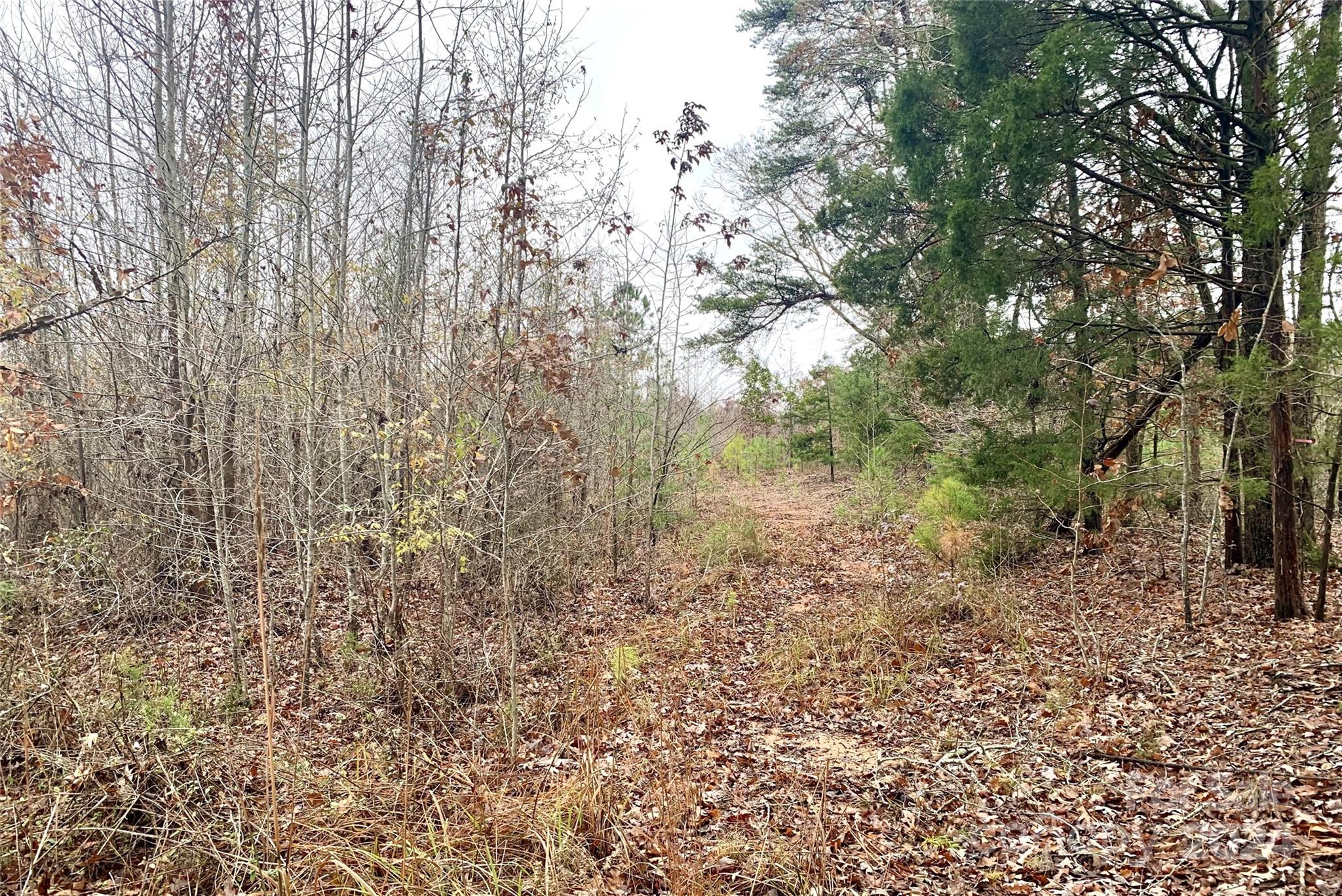 118-ac 118-ac Firetower Road Chester, SC 29706 - Photo 12 of 19 a view of a forest with trees in the background