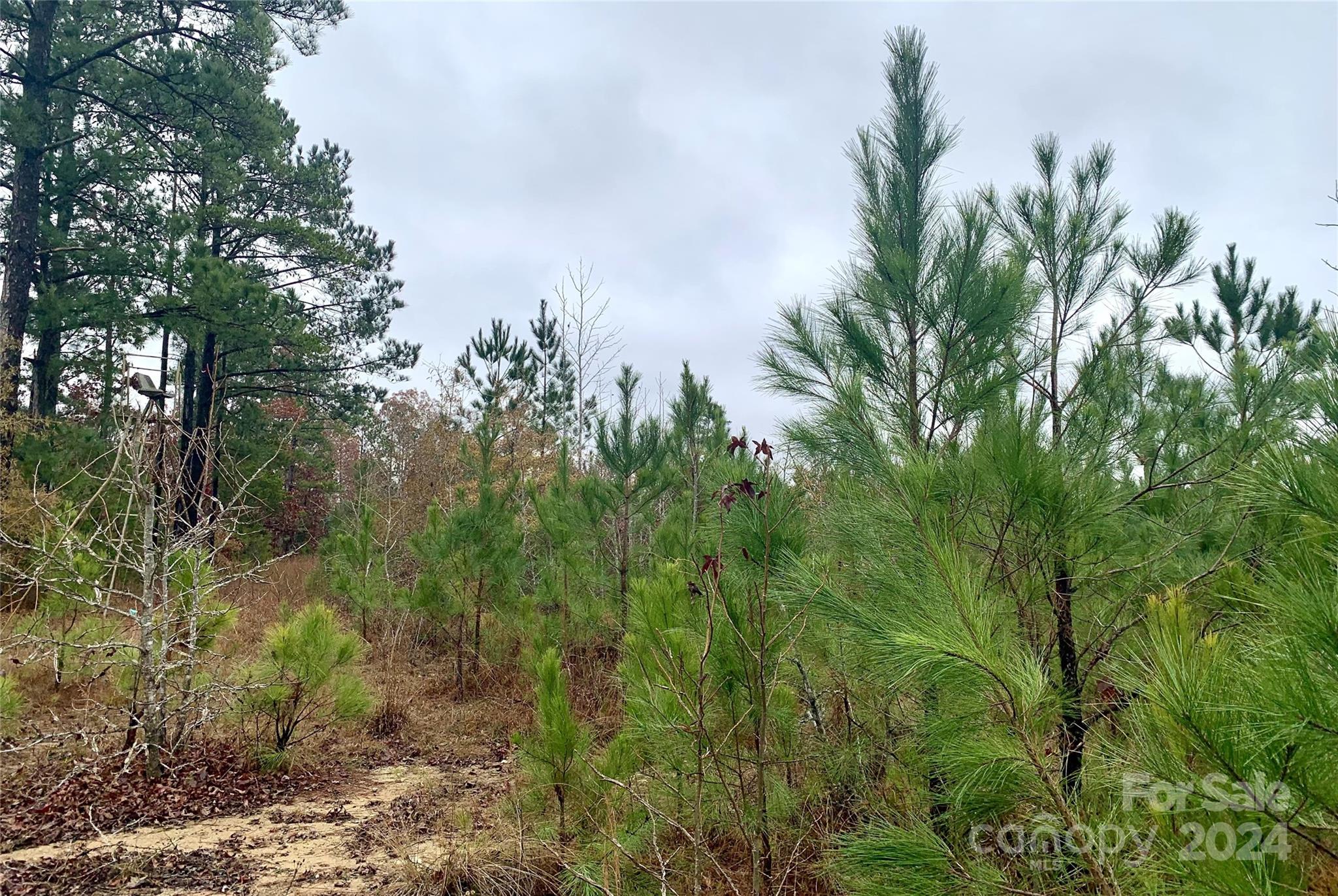 118-ac 118-ac Firetower Road Chester, SC 29706 - Photo 15 of 19 a view of a yard