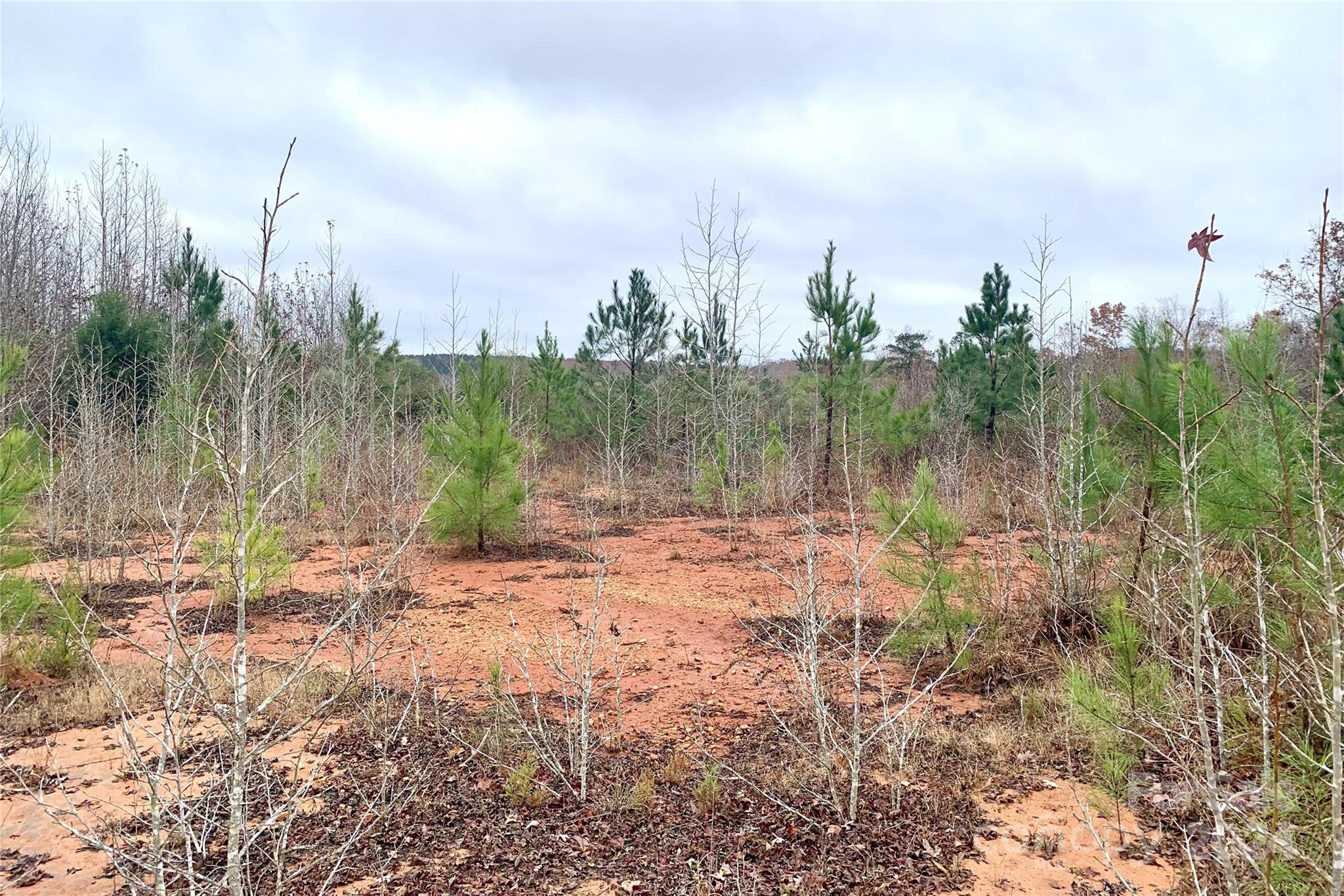 118-ac 118-ac Firetower Road Chester, SC 29706 - Photo 10 of 19 a view of a lake with a city