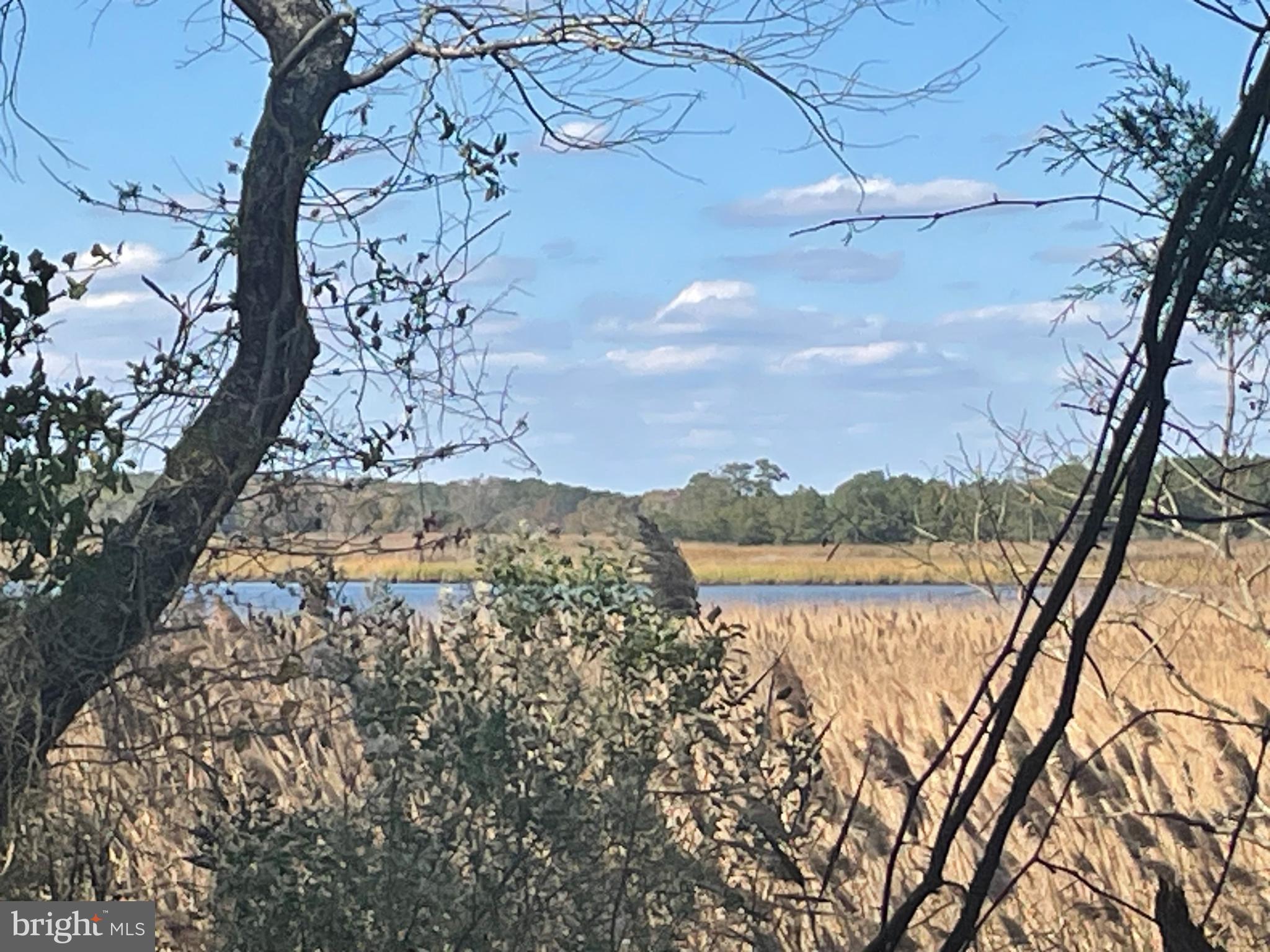 0 Whitehaven Ferry Road Princess Anne, MD 21853 - Photo 13 of 47 a view of lake with a yard