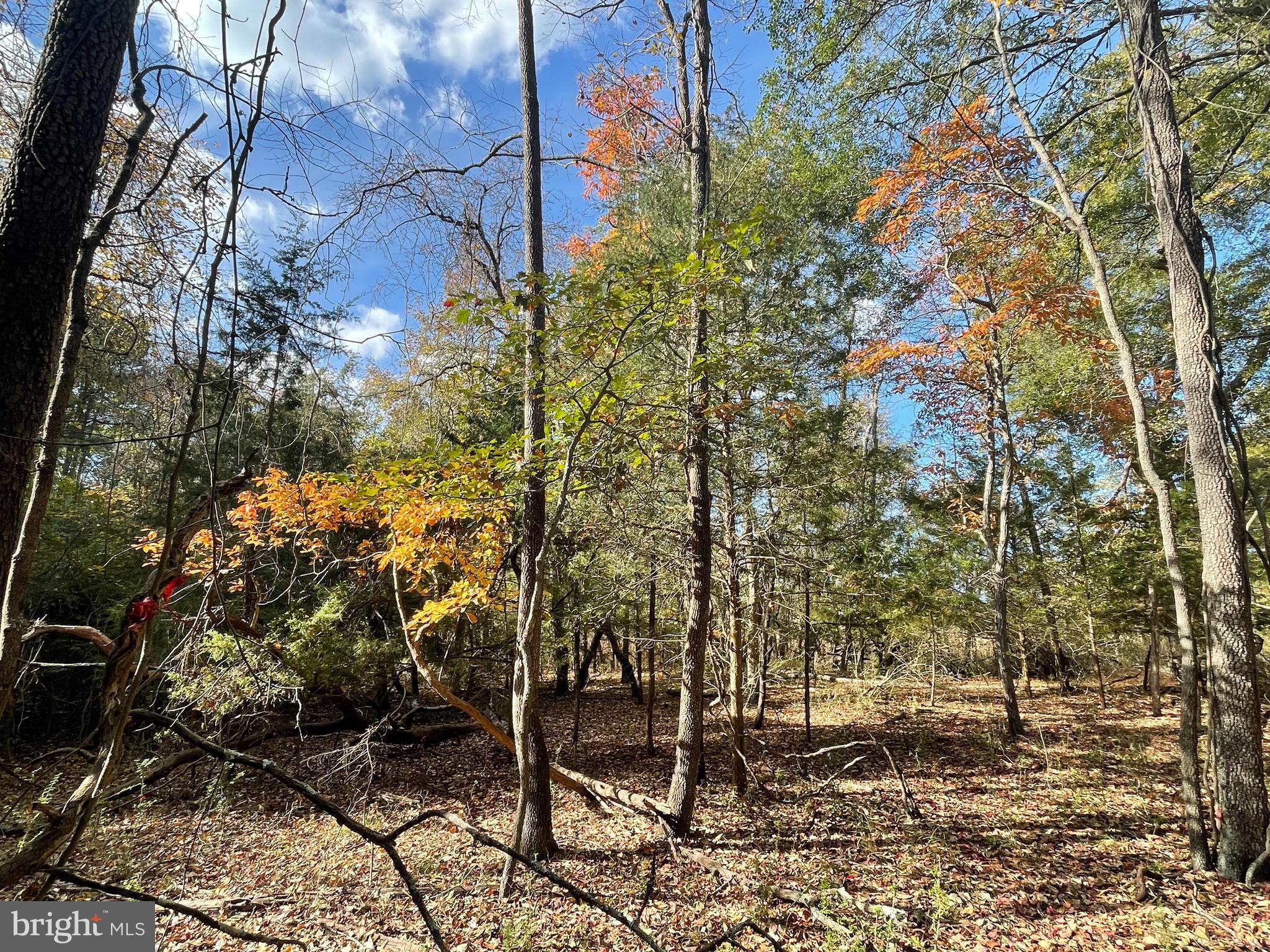 0 Whitehaven Ferry Road Princess Anne, MD 21853 - Photo 15 of 47 a backyard of a building