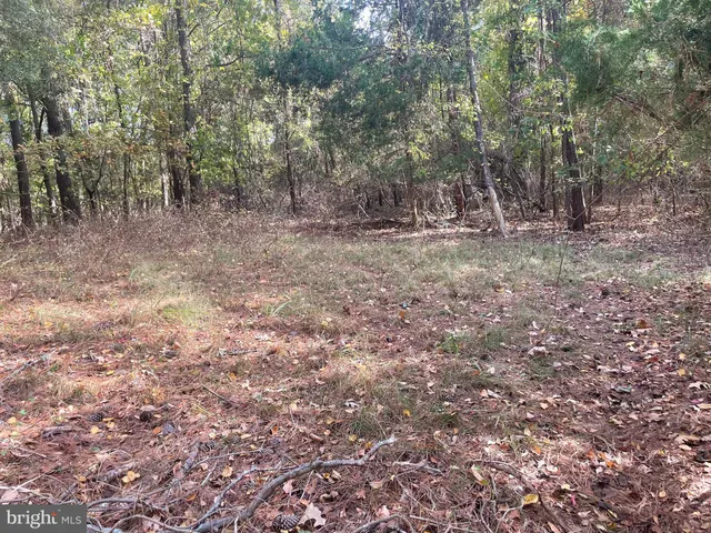 a view of outdoor space with trees