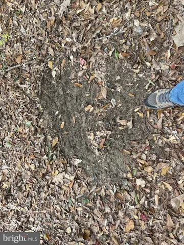 a view of a lake view