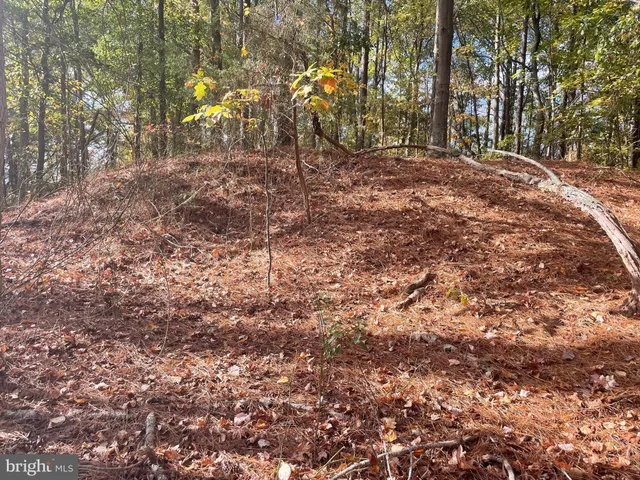 a view of a lake from a yard