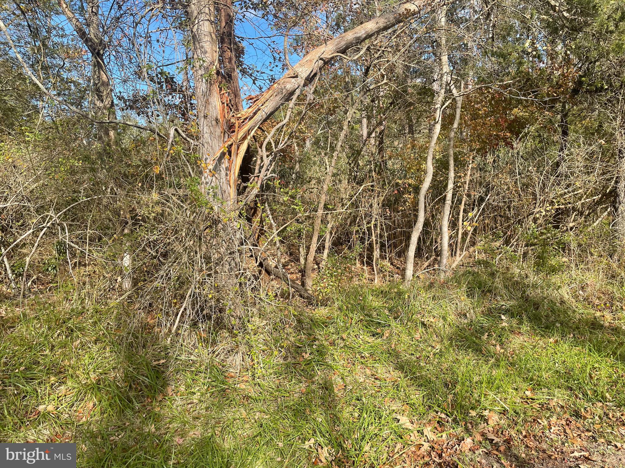 0 Whitehaven Ferry Road Princess Anne, MD 21853 - Photo 25 of 47 a close up of a blue wall