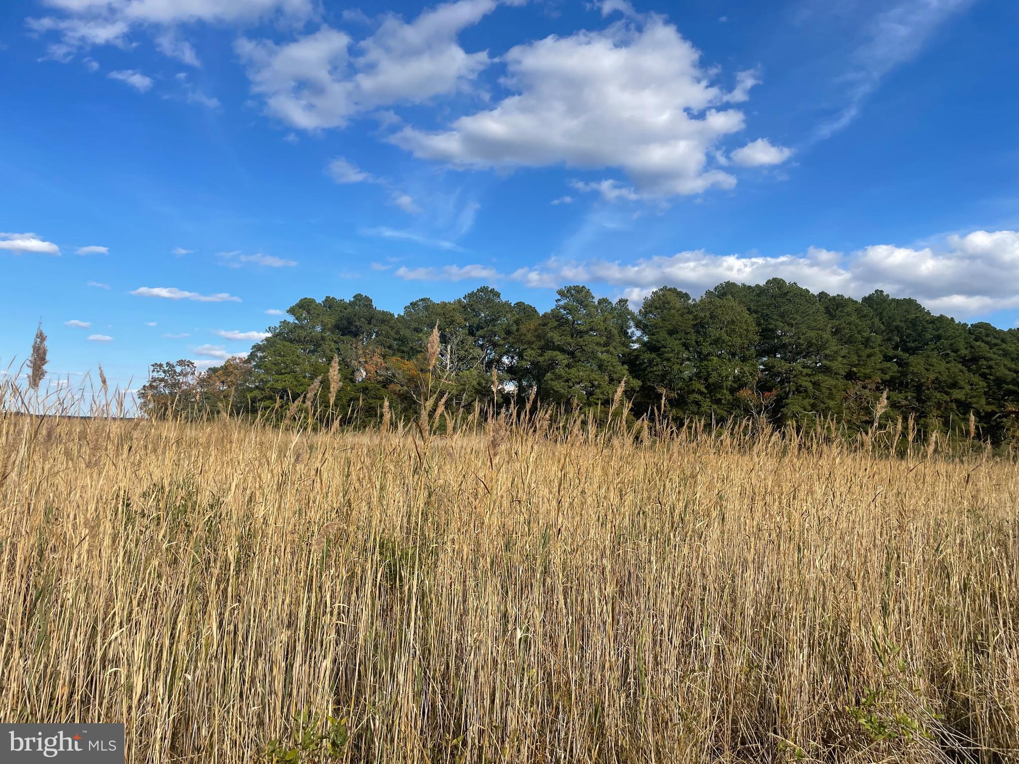 0 Whitehaven Ferry Road Princess Anne, MD 21853 - Photo 26 of 47 a view of a lake view