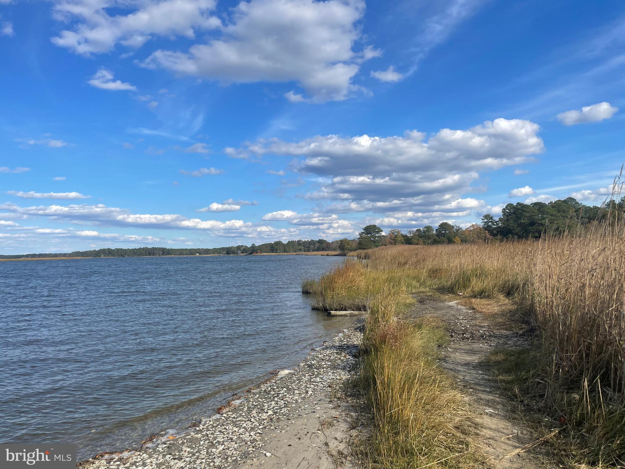 0 Whitehaven Ferry Road Princess Anne, MD 21853 - Photo 27 of 47 a view of a lake from a yard
