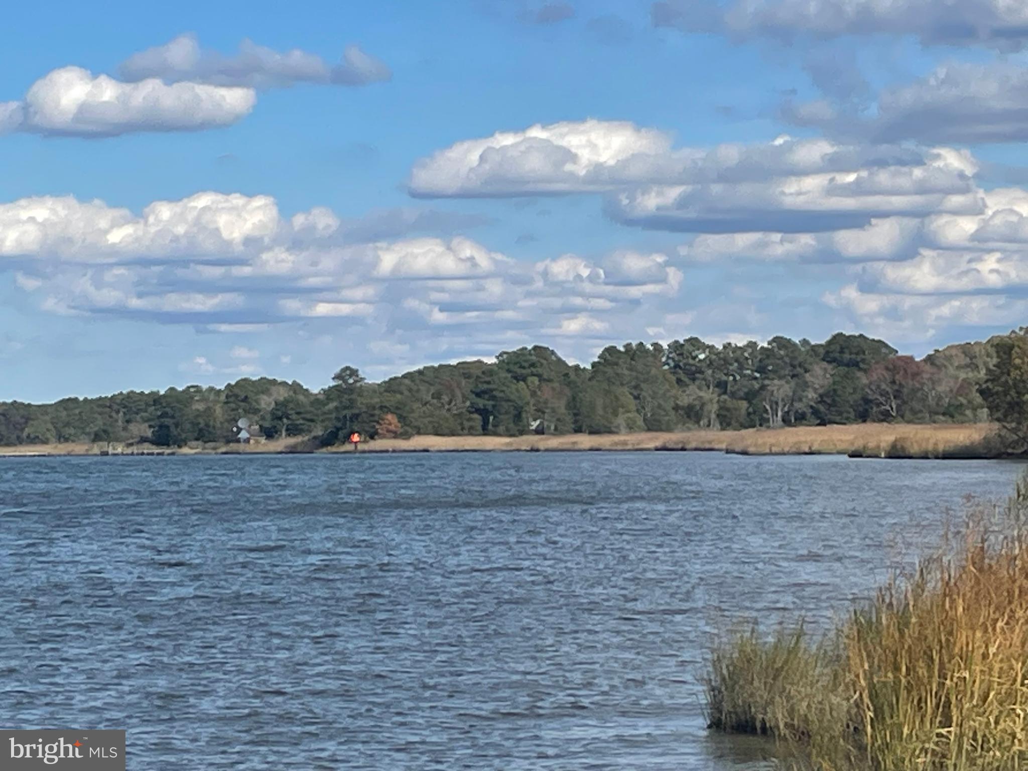 0 Whitehaven Ferry Road Princess Anne, MD 21853 - Photo 28 of 47 a view of lake