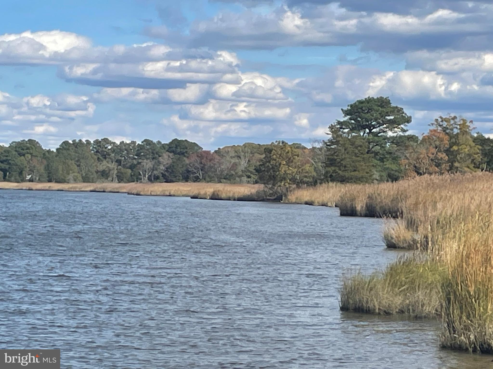 0 Whitehaven Ferry Road Princess Anne, MD 21853 - Photo 29 of 47 a view of lake and mountain