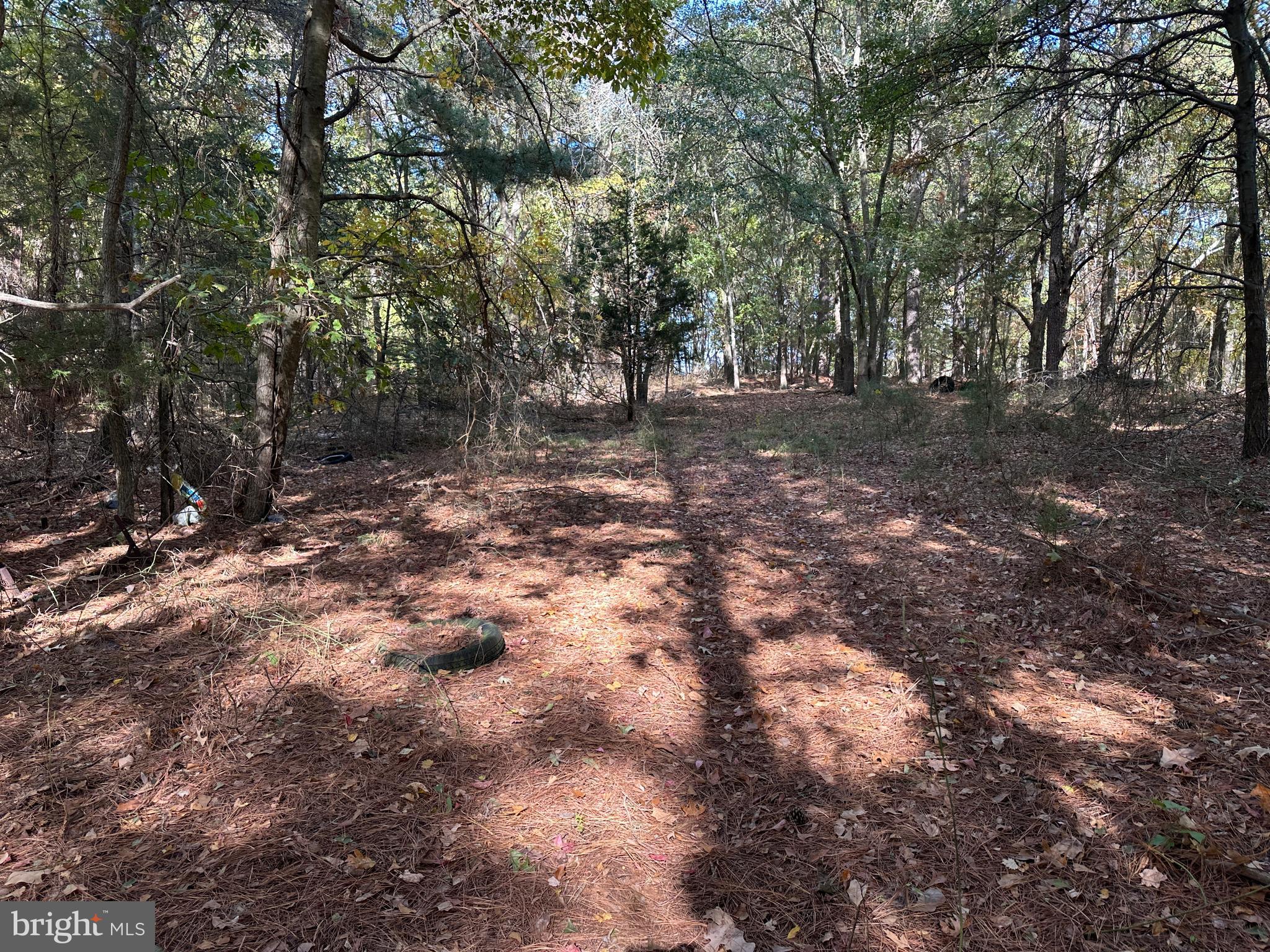0 Whitehaven Ferry Road Princess Anne, MD 21853 - Photo 34 of 47 a view of outdoor space with trees