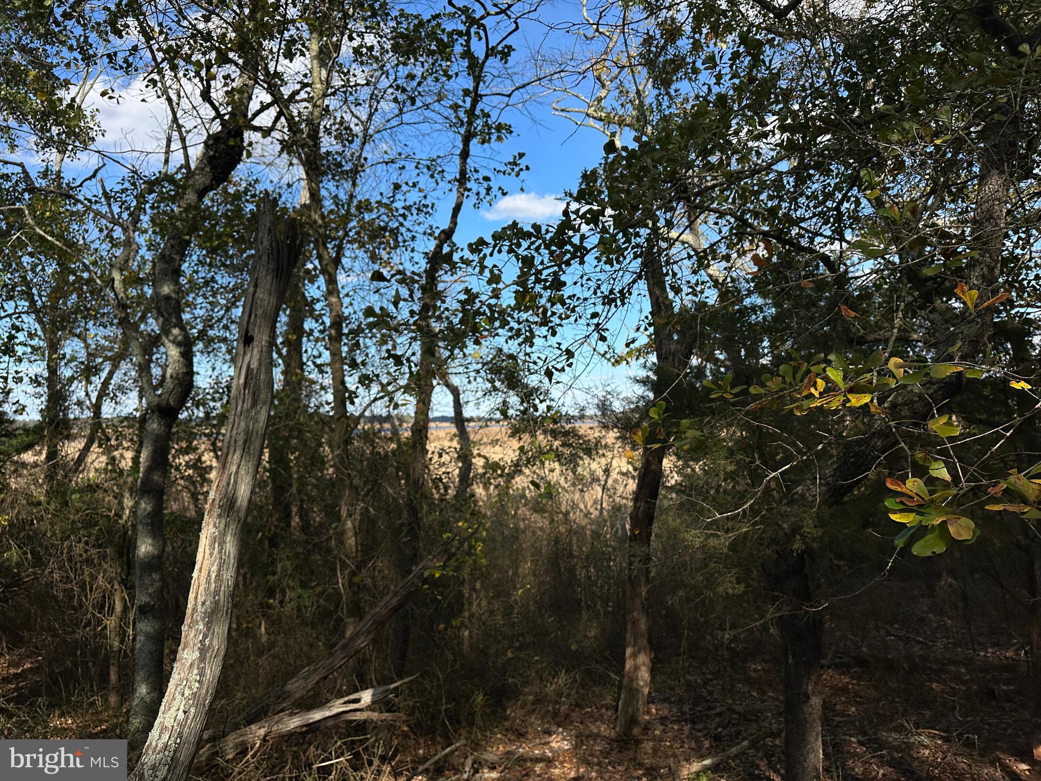 0 Whitehaven Ferry Road Princess Anne, MD 21853 - Photo 42 of 47