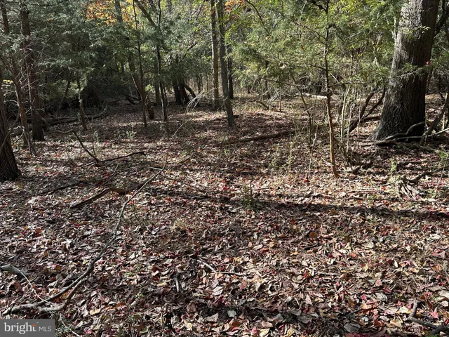 $250,000 | 0 Whitehaven Ferry Road, Princess Anne, MD 21853