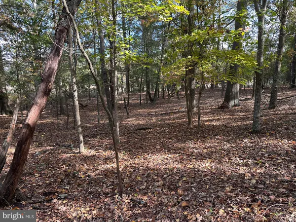 $245,000 | 0 Whitehaven Ferry Road, Princess Anne, MD 21853