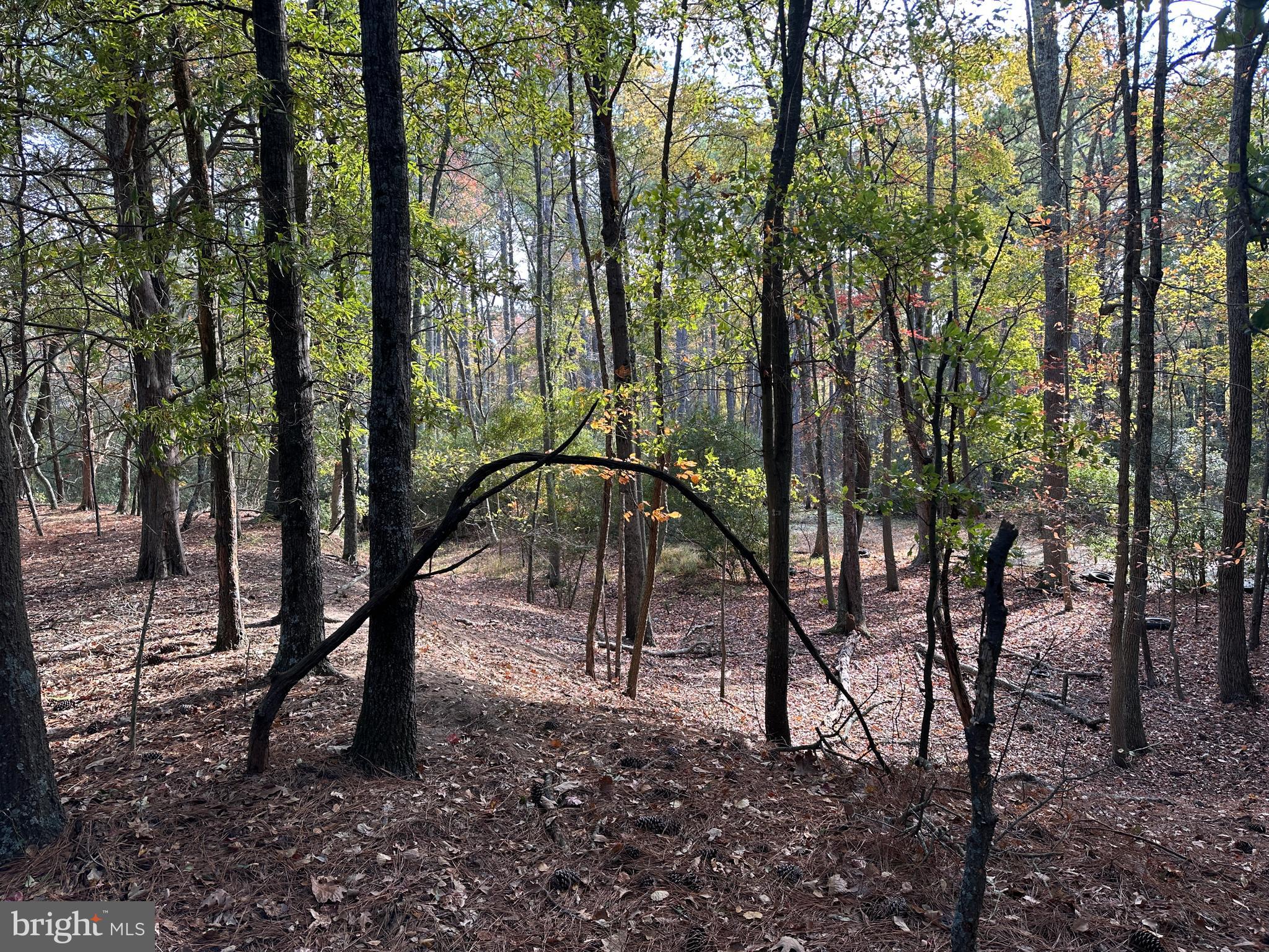 0 Whitehaven Ferry Road Princess Anne, MD 21853 - Photo 46 of 47 a view of outdoor space