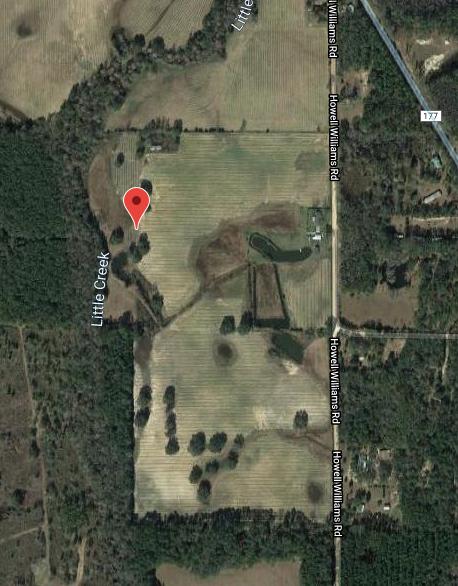 1668 Howell Williams Road Bonifay, FL 32425 - Photo 27 of 27 120 Acre Farm