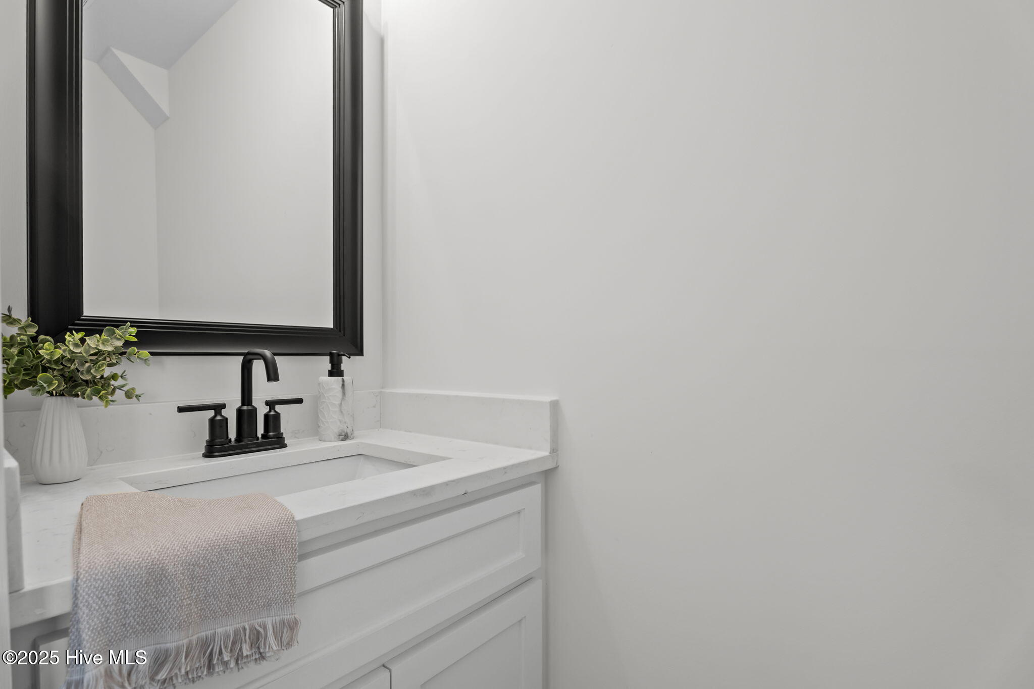 5113 Willows Edge Drive Sims, NC 27880 - Photo 42 of 56 Hall Bath 2