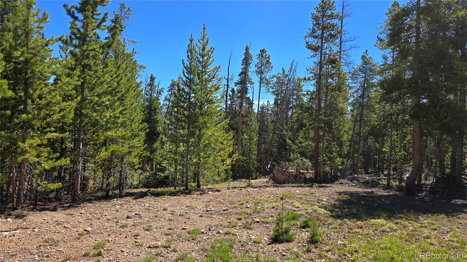 0 Summit Gulch Road Breckenridge, CO 80424 - Photo 17 of 31